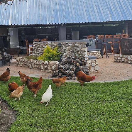Tamboti Farm Accommodation Tsumeb Exterior photo