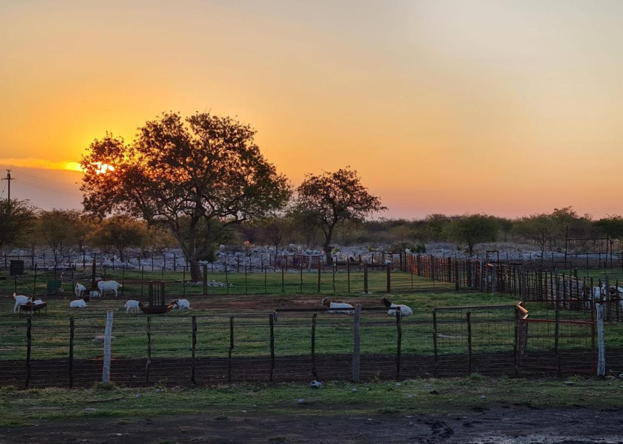 Tamboti Farm Accommodation Tsumeb Exterior photo