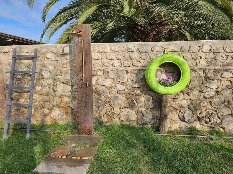 Tamboti Farm Accommodation Tsumeb Exterior photo